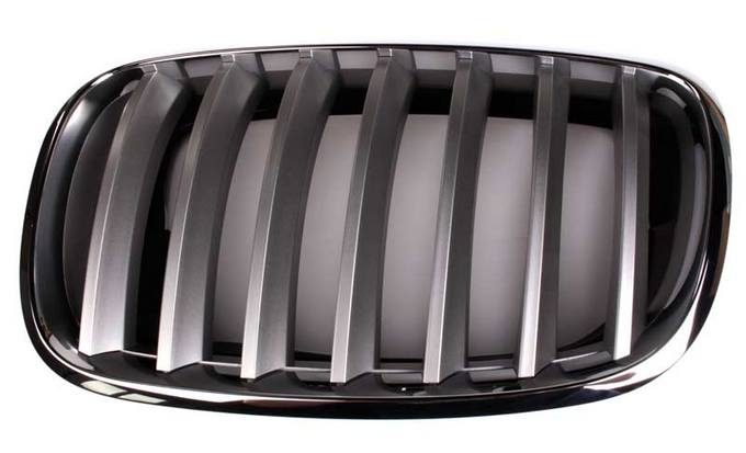 BMW Kidney Grille - Driver Side (Titanium) 51137185223